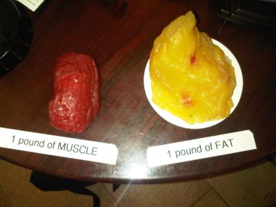 Understanding Body Fat: An Overview