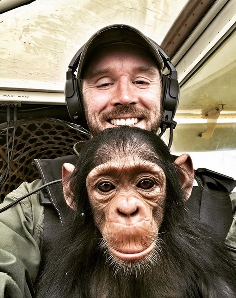 Baby Chimp Rescued From Poachers Gets To Co-Pilot A Plane To An Animal ...